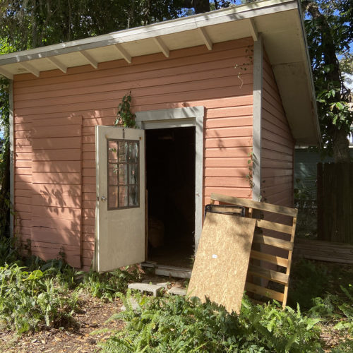 Pink shed in backyard surrounded by grass and trees in Bartow, FL